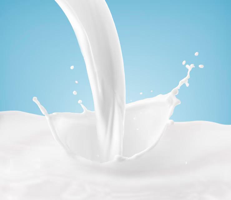Cow Milk