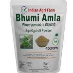 Bhumi Amla powder - 450 gram