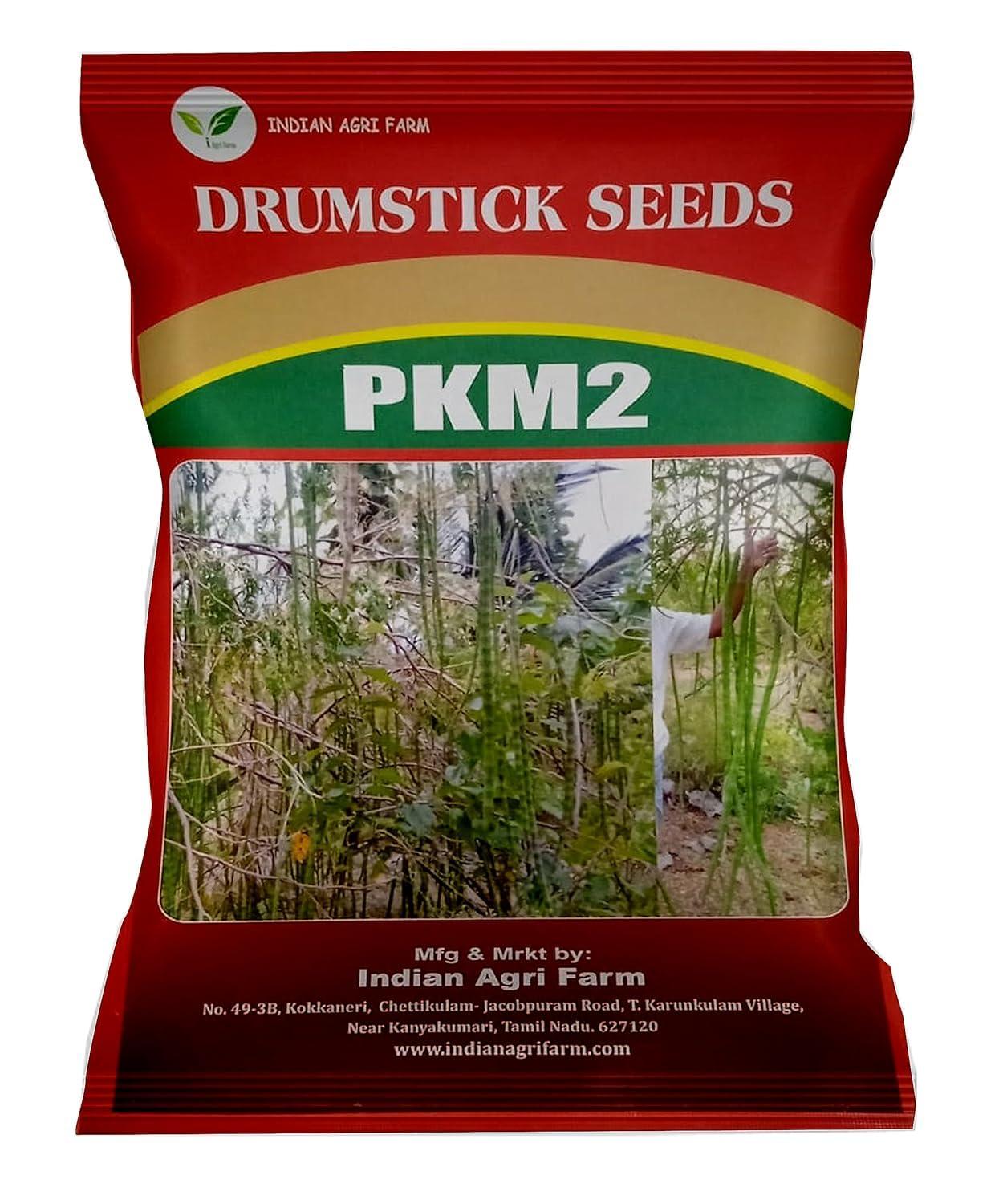 Moringa/Drumstick Seeds - PKM2 Variety - 500 gram