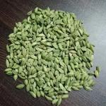 Cardamom