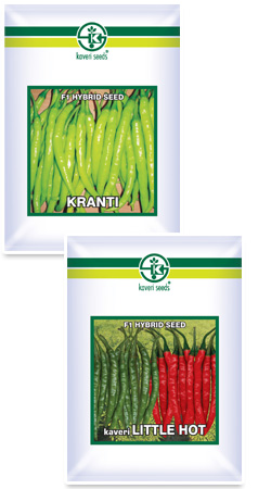 Chillies