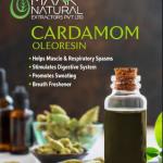 CARDAMOM OLEORESIN
