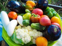 Nellikani collective farming farmer producer company limited