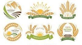 NTK Collective Farming Farmer Producer Company limited