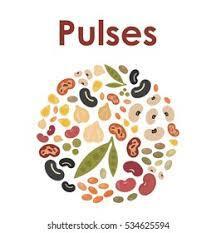 rajarajachozhan farmer producer company