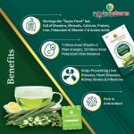 Moringa Tea Super Foods - 60g (3gx20 Sachets) Pack of 1