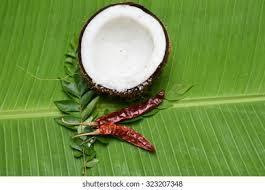 Sangamam Collective Farming farmer producer company Limited