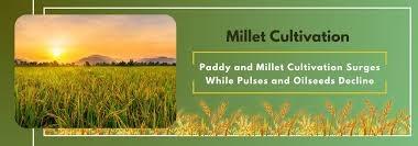 Sankarapuram Collective Farming Farmers Producer Company Ltd