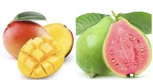 Sirumalai Saaral Collective Farm Producer Company Ltd