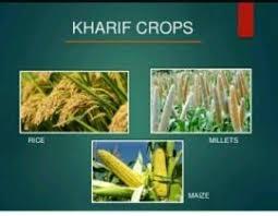 Sri Kaliyuga Varadharaja Perumal Collective Farm Producer Company Limited